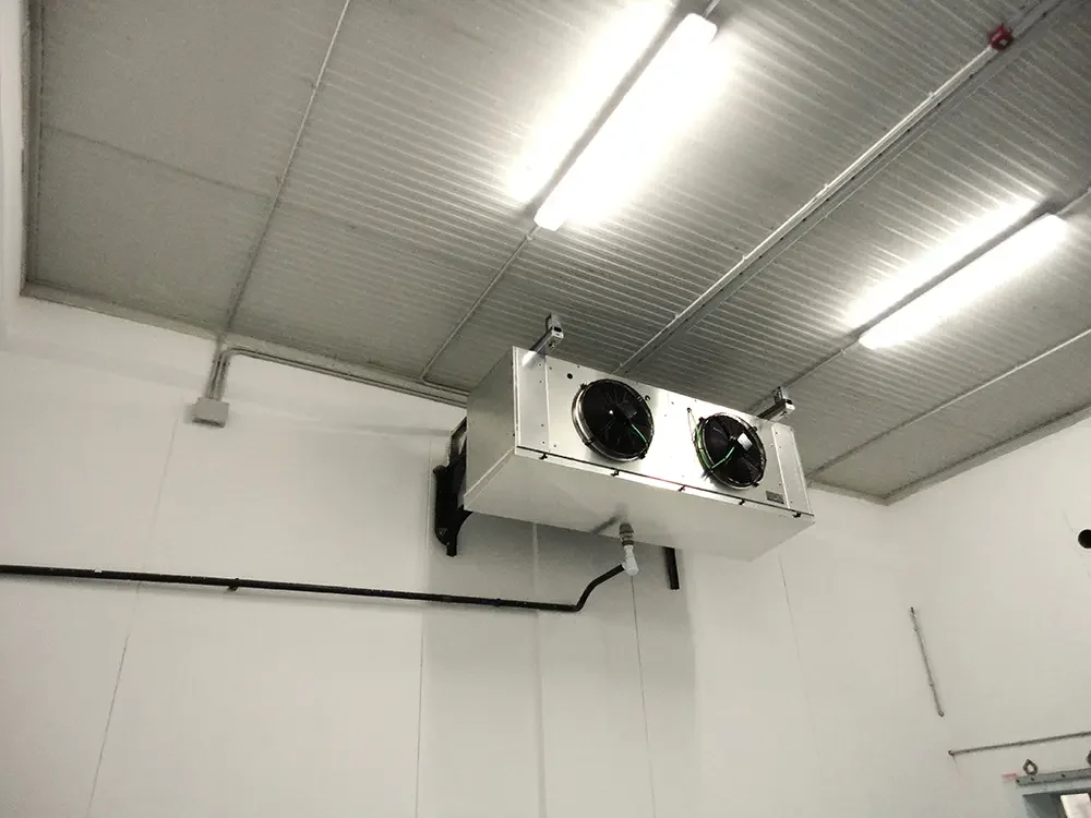 Doble instal·lació a gran cambra frigorífica amb compressors alternatius